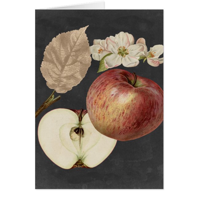 Midnight Harvest II (Front)