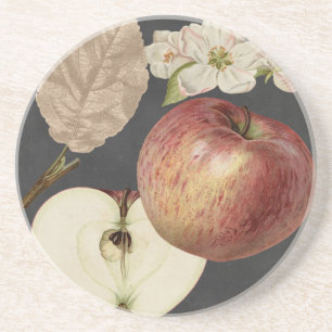 Midnight Harvest II Coaster