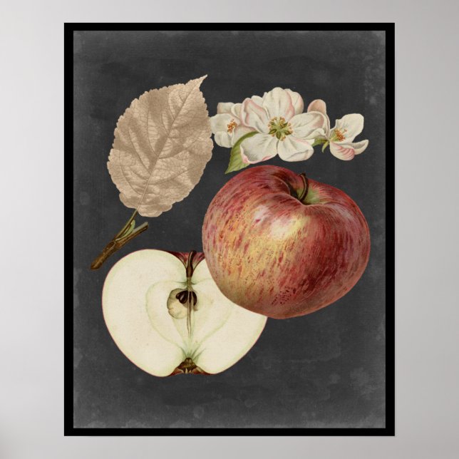 Midnight Harvest II Poster (Front)