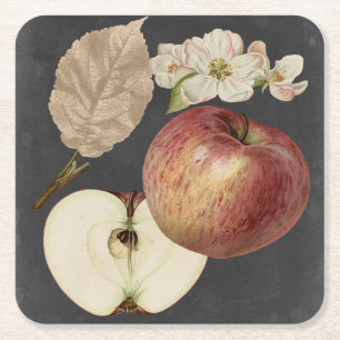 Midnight Harvest II Square Paper Coaster