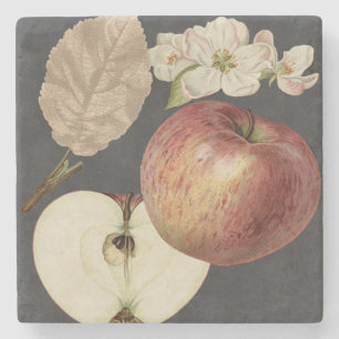 Midnight Harvest II Stone Coaster