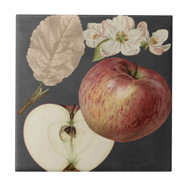 Midnight Harvest II Tile (Front)