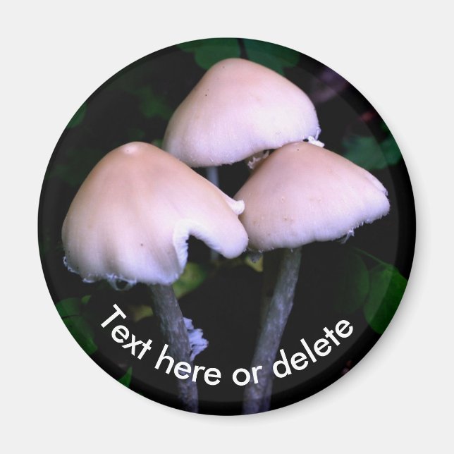Midnight Mushrooms Nature Personalized Magnet (Front)