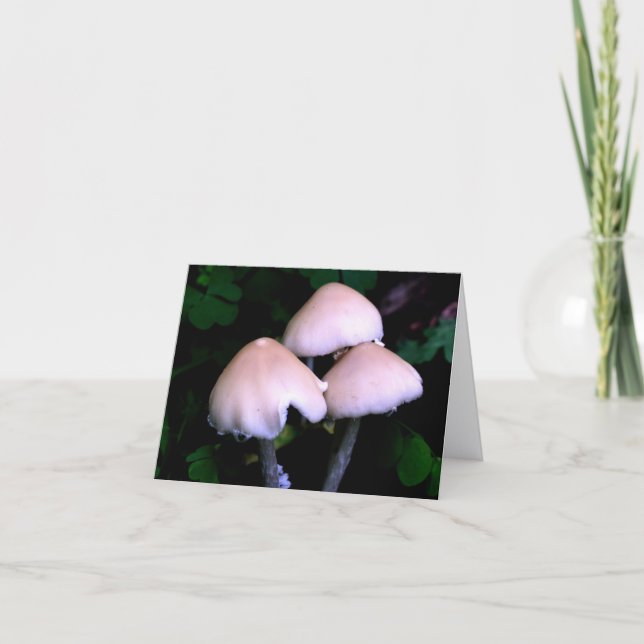 Midnight Mushrooms Nature Photography  Note Card (Front)