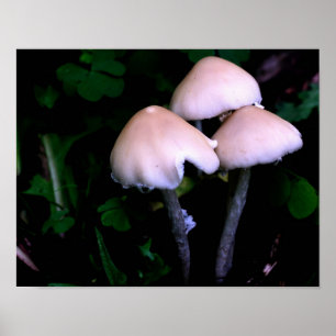 Midnight Mushrooms Nature Poster