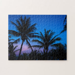 Midnight Palms Puzzle