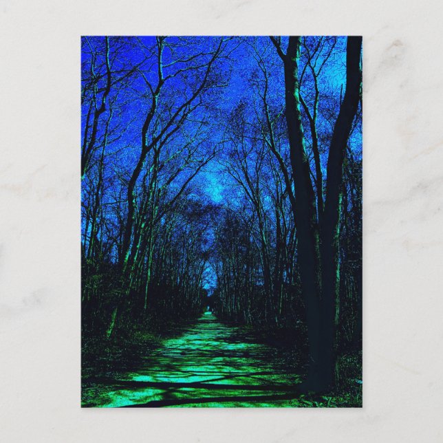 Midnight Path Postcard (Front)