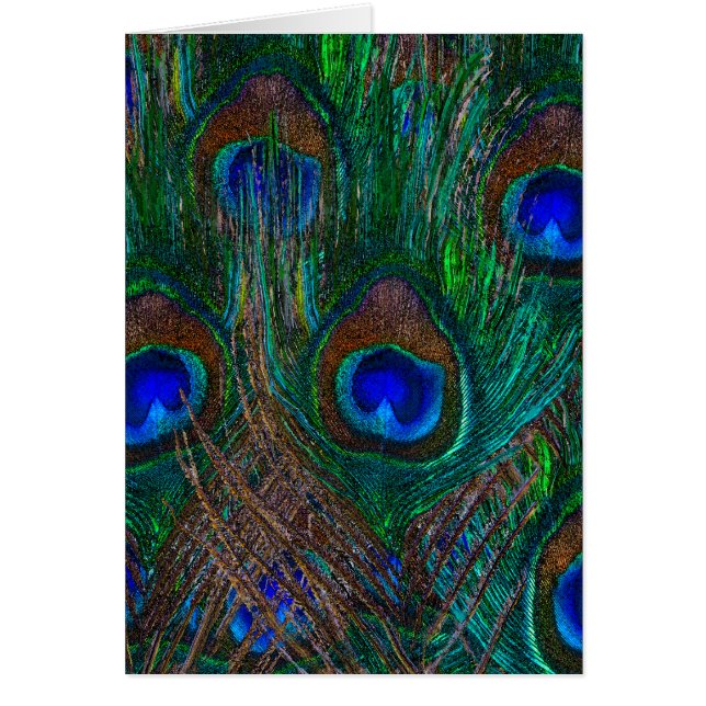 Midnight Peacock Feathers Etching Style Decor (Front)