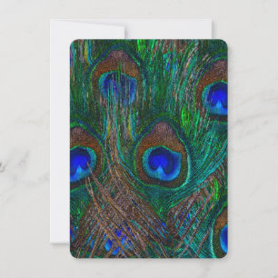 Midnight Peacock Feathers Etching Style Decor