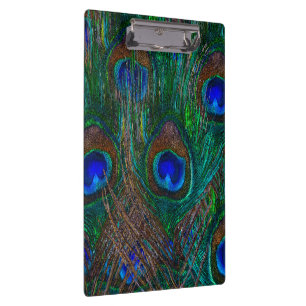 Midnight Peacock Feathers Etching Style Decor Clipboard