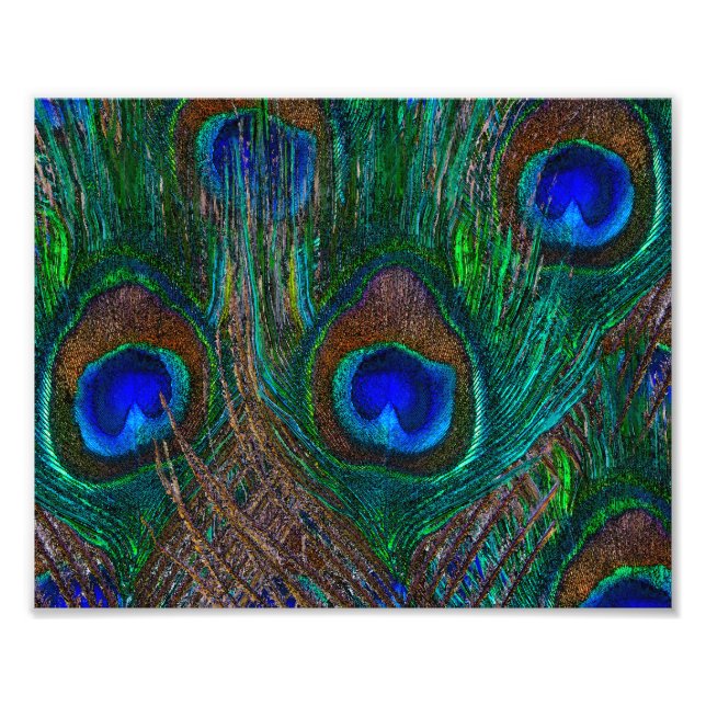 Midnight Peacock Feathers Etching Style Decor Photo Print (Front)
