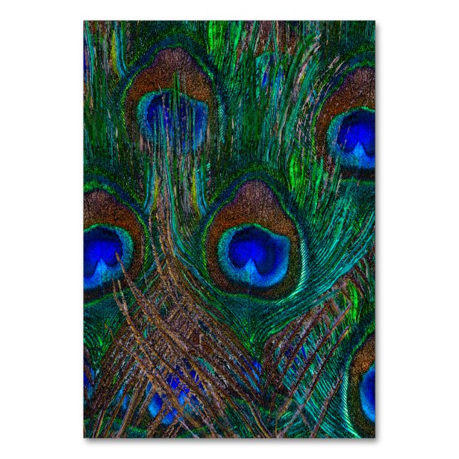 Midnight Peacock Feathers Etching Style Decor Table Number (Front)