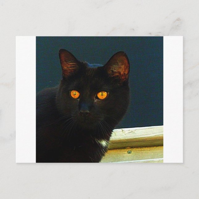 Midnight Postcard (Front)