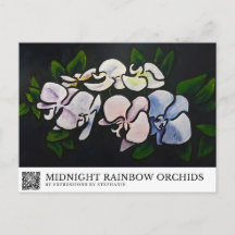 Midnight Rainbow Orchids