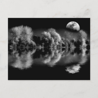 Midnight Reflections Postcard