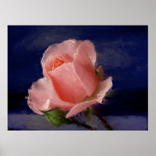 Midnight Rose Poster