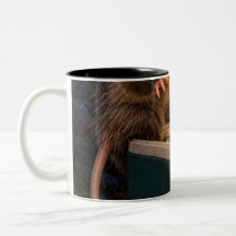 Midnight Snack Inspection Opossum Black Mug