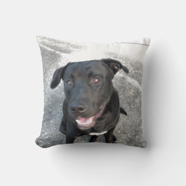 Midnight the Black Lab Smiles Cushion (Front)