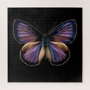 Midnight Wings Jigsaw Puzzle