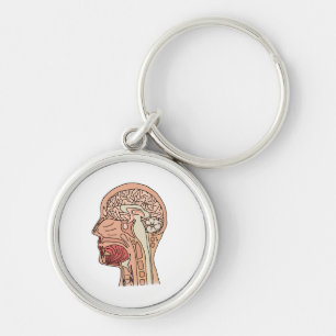 Midsagittal Brain Cross Section Key Ring