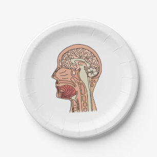 Midsagittal Brain Cross Section Paper Plate