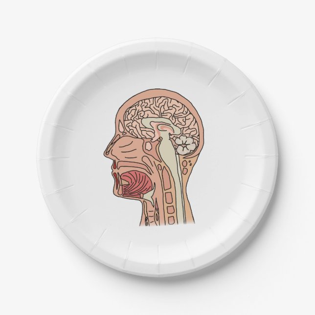 Midsagittal Brain Cross Section Paper Plate (Front)