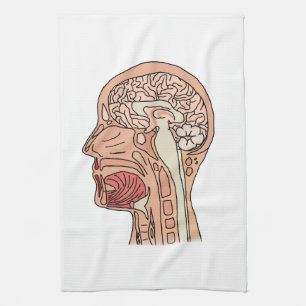 Midsagittal Brain Cross Section Tea Towel