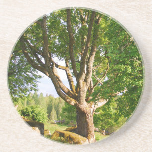 Midsummer Light Småland Coaster