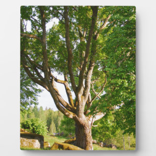 Midsummer Light Småland Plaque
