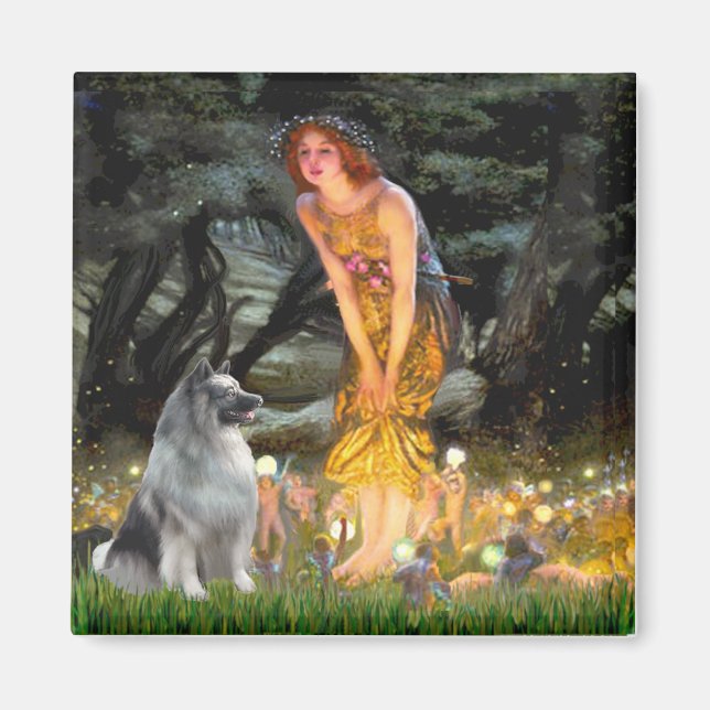 Midsummers Eve - Keeshond Magnet (Front)