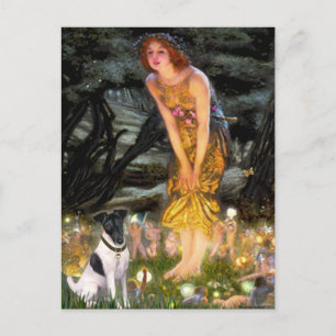 Midsummers Eve - Smooth Fox Terrier Postcard