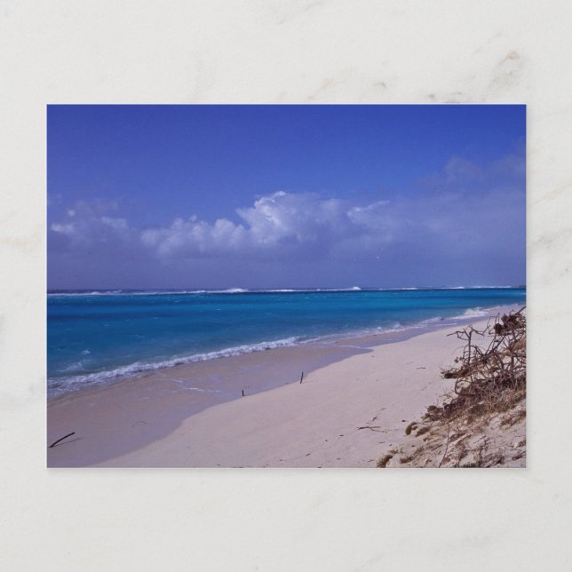 Midway Atoll beach Postcard (Front)