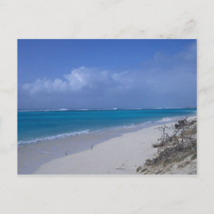 Midway Atoll Beach Postcard