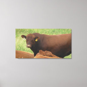 Midwest Cow Photography Wrapped Canvas Art