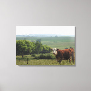Midwest Photography   Beautiful Cow and Scenery Canvas Print