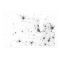 Midwest Railroad Constellation Census Dotmap