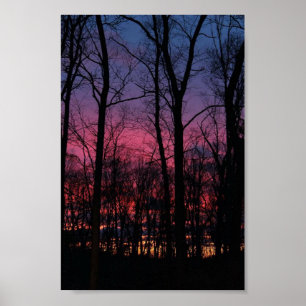 Midwest Sunset Through the Trees Poster
