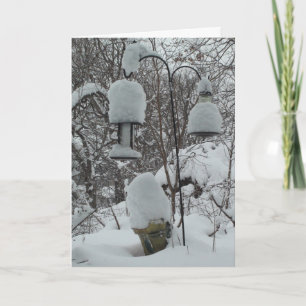 Midwest Winter Snowbird Card Humourous