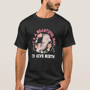 Midwife It's A Beautiful Day To Give Birth T-Shirt