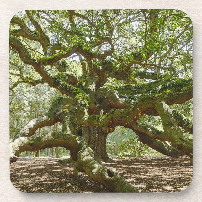 Mighty Angel Oak Coaster (Front)