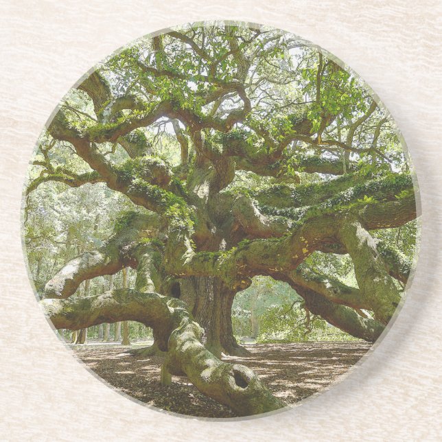 Mighty Angel Oak Coaster (Front)