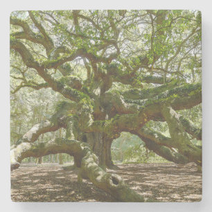 Mighty Angel Oak Stone Coaster