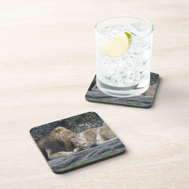 Mighty Lion Love Coaster (Right Side)