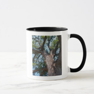 Mighty Oak Mug