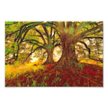 Mighty Oak