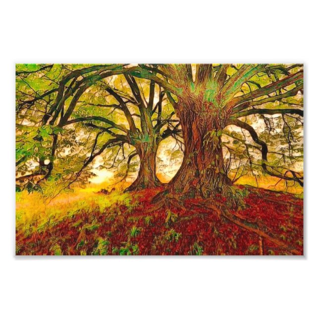 Mighty Oak Photo Print (Front)