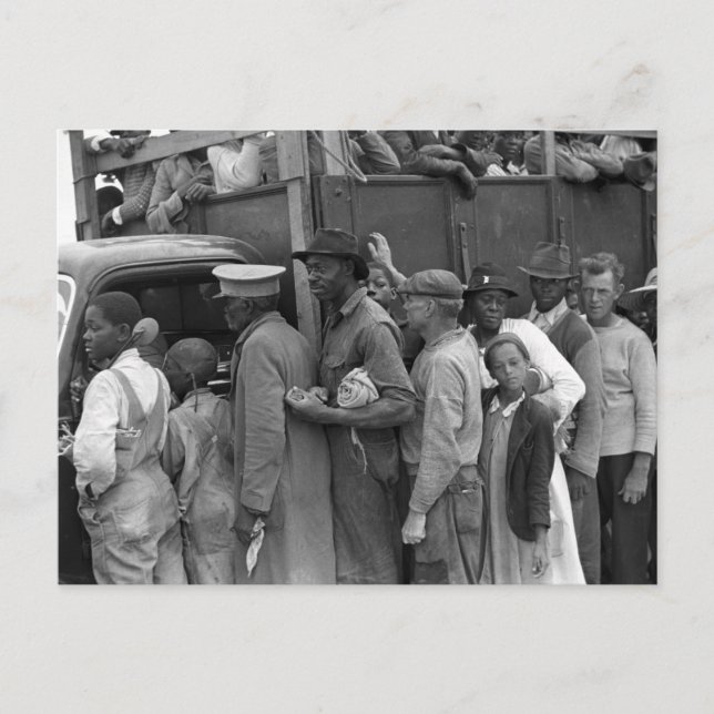 Migrant Vegetable Workers: 1939 Postcard (Front)