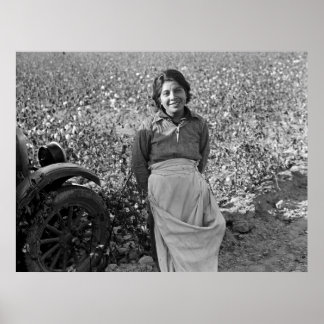 Migrant Worker in Cotton Field by Dorothea Lange Poster