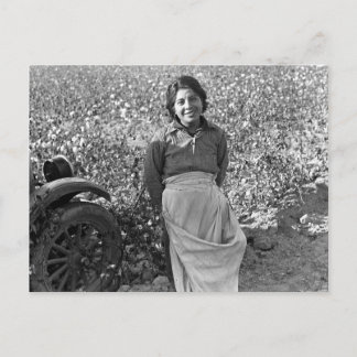 Migrant  Worker next to a Cotton Field Postcard