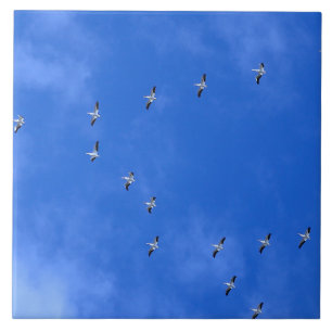 Migrating birds tile